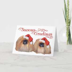 Pekingese feiern Weihnachten