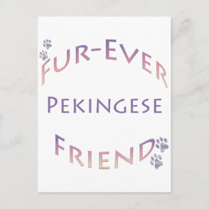Pekingese Furever Postkarte