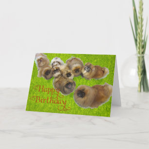 Pekingese-Geburtstagskarte Karte