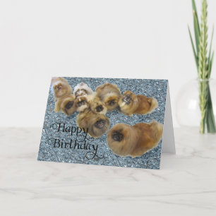 Pekingese Geburtstagskarte Karte