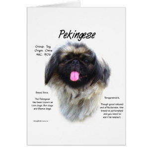 Pekingese Geschichtsdesign