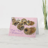 Pekingese Get Well Card