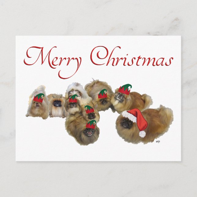 Pekingese Group feiert Weihnachten (Vorderseite)