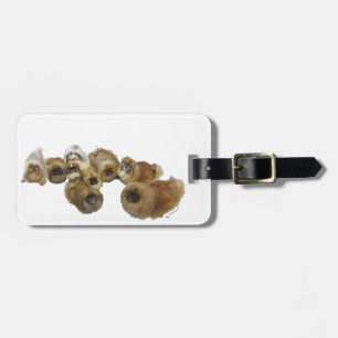 Pekingese-Gruppe Gepäckanhänger