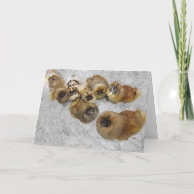 Pekingese Grußkarte Karte (Vorderseite)