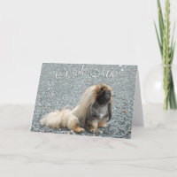 Pekingese Grußkarte