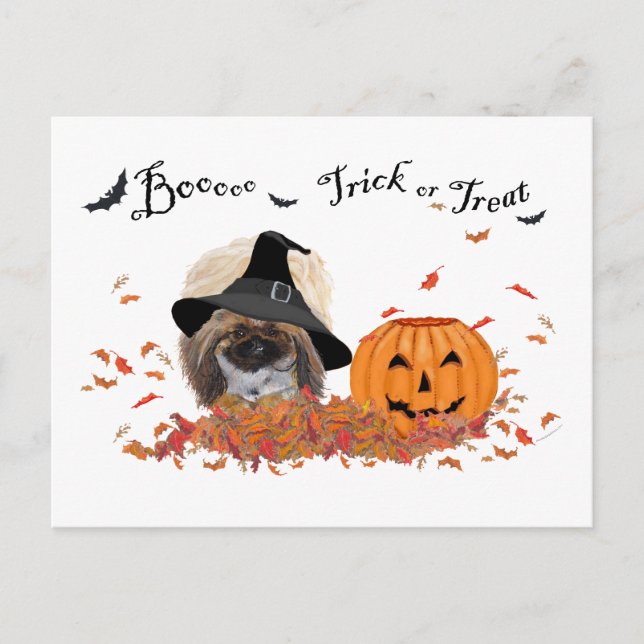 Pekingese Halloween Postkarte (Vorderseite)