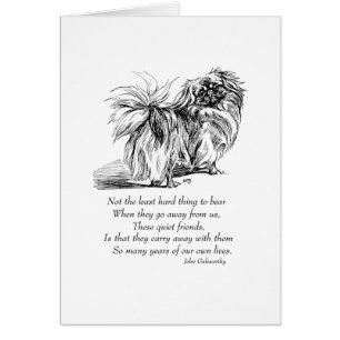 Pekingese-Hund Regenbogenbrücke