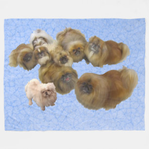 Pekingese Hunde auf blau Fleecedecke