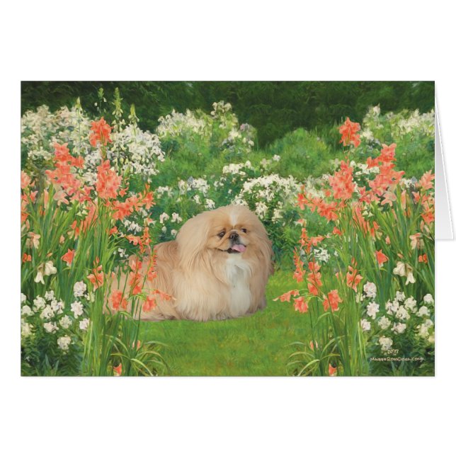 Pekingese im Garten (Vorderseite (Horizontal))