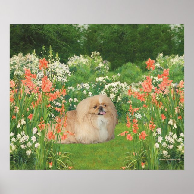 Pekingese im Garten Poster (Vorne)