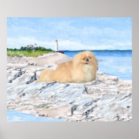 Pekingese im Leuchtturm