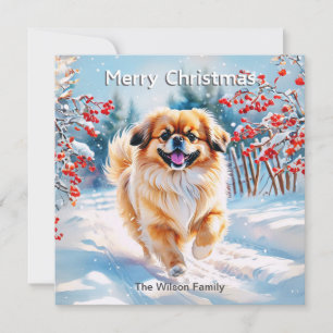 Pekingese im Schnee Frohe Weihnachten