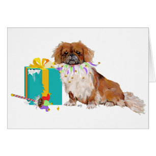 Pekingese in Feierlaune