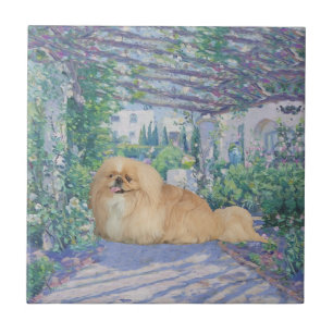 Pekingese in Lavendel Fliese