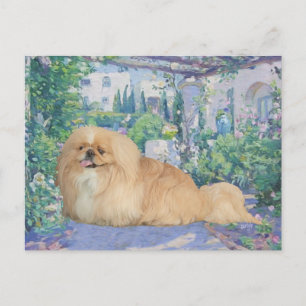 Pekingese in Lavendel Postkarte