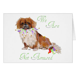 Pekingese ist nicht verwirrt