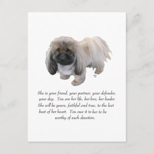 Pekingese Keepake — FEMALE Postkarte