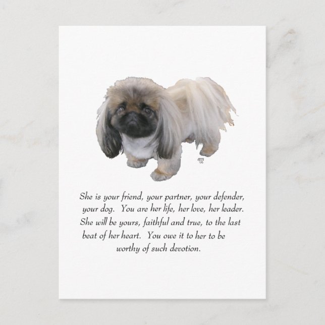 Pekingese Keepake — FEMALE Postkarte (Vorderseite)