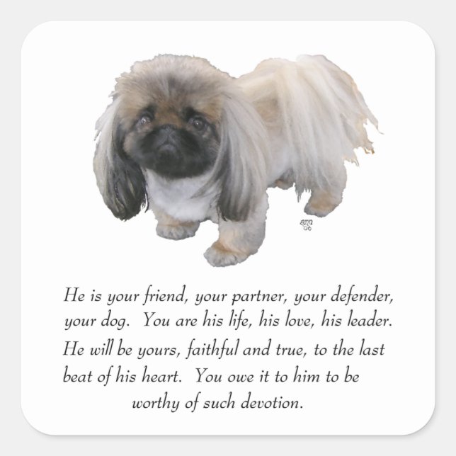Pekingese Keepake — MALE Quadratischer Aufkleber (Vorderseite)