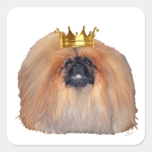 Pekingese King (Customize if you Wish!) Quadratischer Aufkleber (Vorderseite)