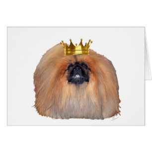 Pekingese König (nach Wunsch anpassen!)
