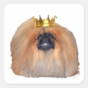 Pekingese König (nach Wunsch anpassen!) Quadratischer Aufkleber