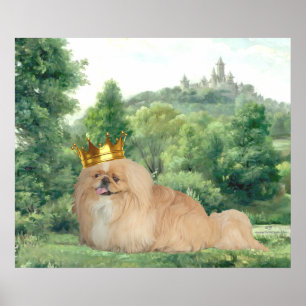 Pekingese König Poster