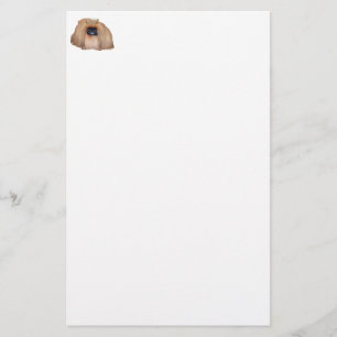 Pekingese Königin
