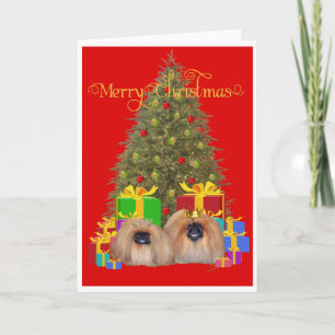 Pekingese Königsfamilie feiert Weihnachten