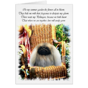 Pekingese Kunstgeschenke