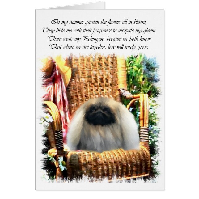 Pekingese Kunstgeschenke (Vorne)
