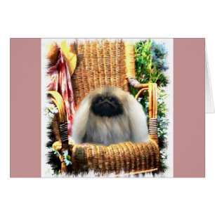 Pekingese Kunstgeschenke