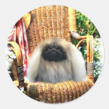 Pekingese Kunstgeschenke