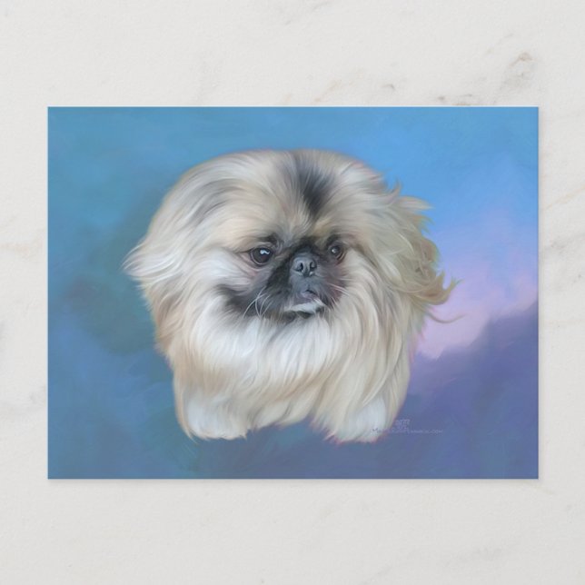 Pekingese Lily on Blue Postkarte (Vorderseite)