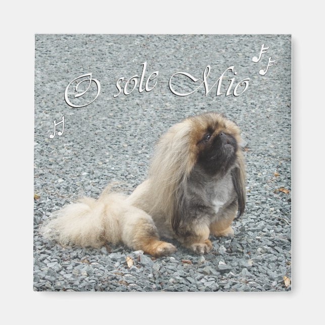 Pekingese Magnet (Vorne)