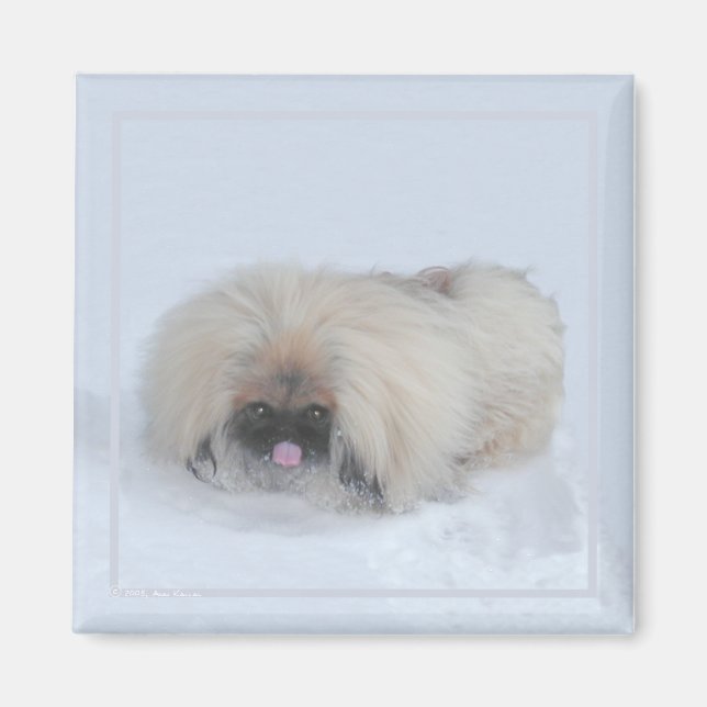 Pekingese Magnet (Devant)