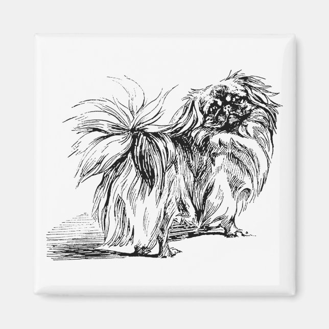 Pekingese Magnet (Vorne)