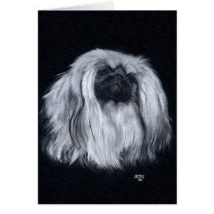 Pekingese noir et blanc