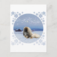 Pekingese O Heilige Nacht