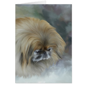 Pekingese pensif
