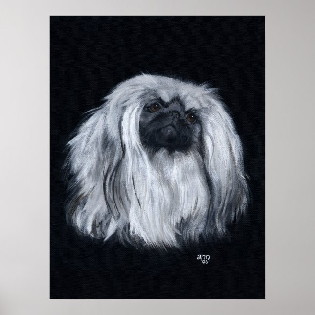 Pekingese Portrait in Schwarz-Weiß Poster (Vorne)