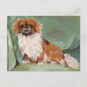 Pekingese  postkarte