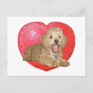 Pekingese / Pudel Mix Valentinstag Feiertagspostkarte
