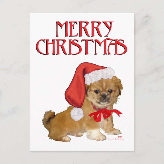 Pekingese Puppy Christmas Feiertagspostkarte (Vorderseite)