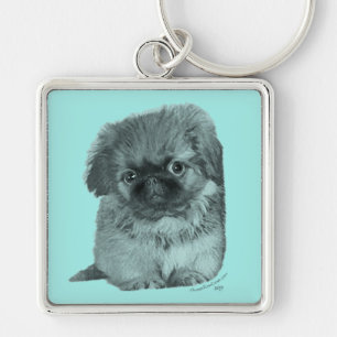 Pekingese Puppy Schlüsselanhänger