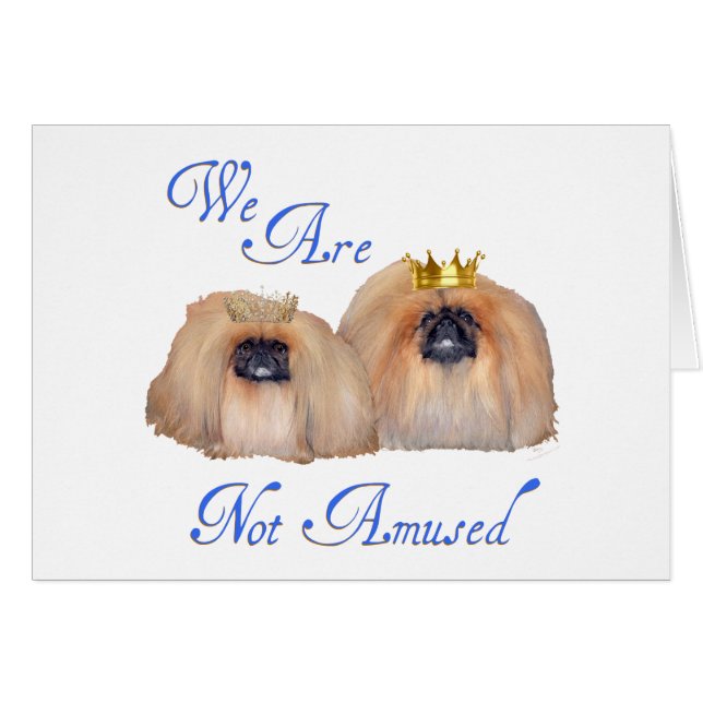 Pekingese sind nicht verwirrt (Vorderseite (Horizontal))