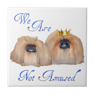 Pekingese sind nicht verwirrt fliese