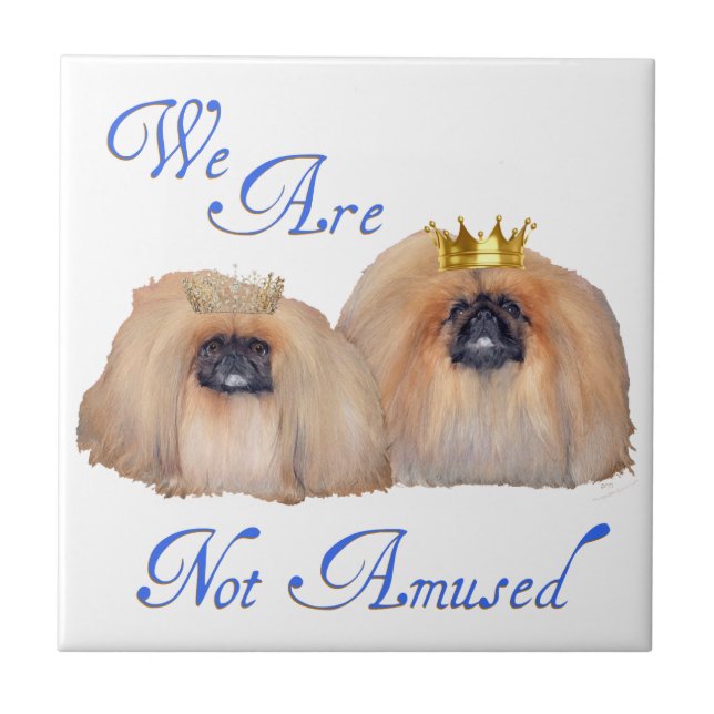 Pekingese sind nicht verwirrt fliese (Vorderseite)