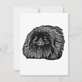 Pekingese Stationery - leere Karte "Fuzz"